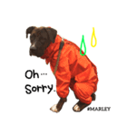 MARLEY #RAGGAE（個別スタンプ：4）