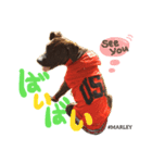 MARLEY #RAGGAE（個別スタンプ：5）