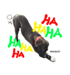 MARLEY #RAGGAE（個別スタンプ：7）