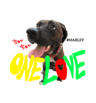MARLEY #RAGGAE（個別スタンプ：8）