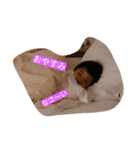 mahiro.K（個別スタンプ：2）