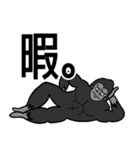 いろんな場面で使えるゴリラスタンプ（個別スタンプ：24）