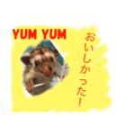 ハリネズミからの一言（個別スタンプ：3）