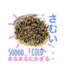 ハリネズミからの一言（個別スタンプ：5）