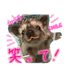 ハリネズミからの一言（個別スタンプ：6）