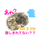 ハリネズミからの一言（個別スタンプ：7）