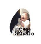 Harumaki stamp（個別スタンプ：7）