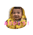 Harumaki stamp（個別スタンプ：13）