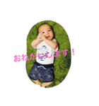 Harumaki stamp（個別スタンプ：17）