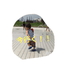 Harumaki stamp（個別スタンプ：36）