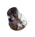 Harumaki stamp（個別スタンプ：37）