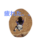 Harumaki stamp（個別スタンプ：39）