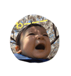 Harumaki stamp（個別スタンプ：40）