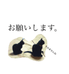 p.s.s.p（個別スタンプ：2）