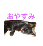 p.s.s.p（個別スタンプ：5）