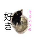 p.s.s.p（個別スタンプ：6）