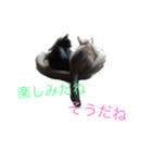 p.s.s.p（個別スタンプ：11）