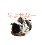p.s.s.p（個別スタンプ：14）