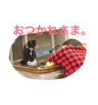 p.s.s.p（個別スタンプ：15）