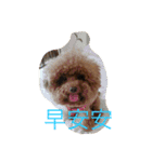 MarukoBaby（個別スタンプ：1）