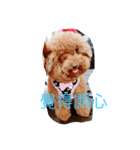 MarukoBaby（個別スタンプ：2）