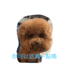 MarukoBaby（個別スタンプ：3）