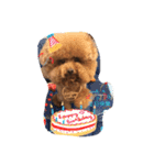 MarukoBaby（個別スタンプ：4）