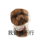 MarukoBaby（個別スタンプ：6）