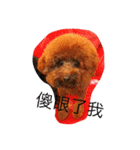 MarukoBaby（個別スタンプ：8）