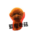 MarukoBaby（個別スタンプ：9）