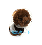 MarukoBaby（個別スタンプ：10）