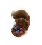 MarukoBaby（個別スタンプ：11）
