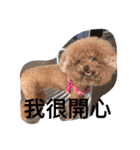 MarukoBaby（個別スタンプ：13）