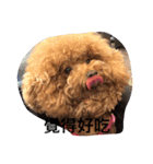 MarukoBaby（個別スタンプ：14）