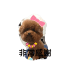 MarukoBaby（個別スタンプ：16）