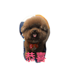 MarukoBaby（個別スタンプ：19）
