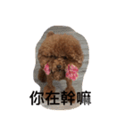 MarukoBaby（個別スタンプ：21）