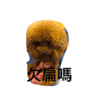 MarukoBaby（個別スタンプ：22）