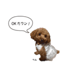 田中結婚祝スタンプ（個別スタンプ：5）