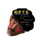 あすかリベンジ（個別スタンプ：6）