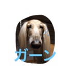 我が家の娘達の普段の様子をスタンプに！（個別スタンプ：1）
