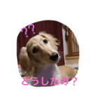 我が家の娘達の普段の様子をスタンプに！（個別スタンプ：4）