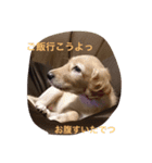 我が家の娘達の普段の様子をスタンプに！（個別スタンプ：6）
