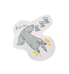 ダックス のんびりライフ。ほのぼの日常。（個別スタンプ：13）