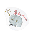 ダックス のんびりライフ。ほのぼの日常。（個別スタンプ：14）