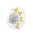 ダックス のんびりライフ。ほのぼの日常。（個別スタンプ：15）