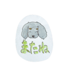 ダックス のんびりライフ。ほのぼの日常。（個別スタンプ：17）