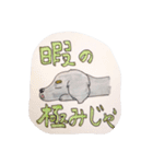 ダックス のんびりライフ。ほのぼの日常。（個別スタンプ：18）