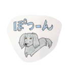 ダックス のんびりライフ。ほのぼの日常。（個別スタンプ：24）