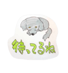 ダックス のんびりライフ。ほのぼの日常。（個別スタンプ：30）
